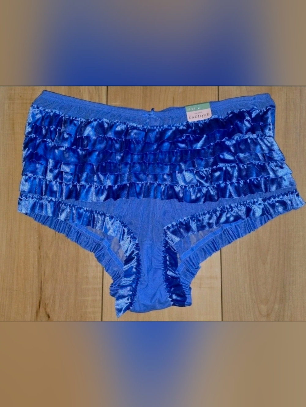 NWT OS Vintage RUFFLED Rumba CACIQUE Satin Sheer Boy Short panties sz 22/24